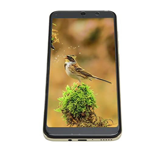 Luqeeg Teléfono Celular Desbloqueado de 6.1 Pulgadas para Android 11 - Pantalla Táctil HD de 1440x3040, Banda Dual WiFi 2G 5G, Procesador de 10 Núcleos, ROM de 4GB RAM 64GB, 8MP + 16MP